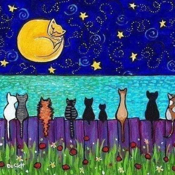 THIS CLOSET - Picture 3 of 8